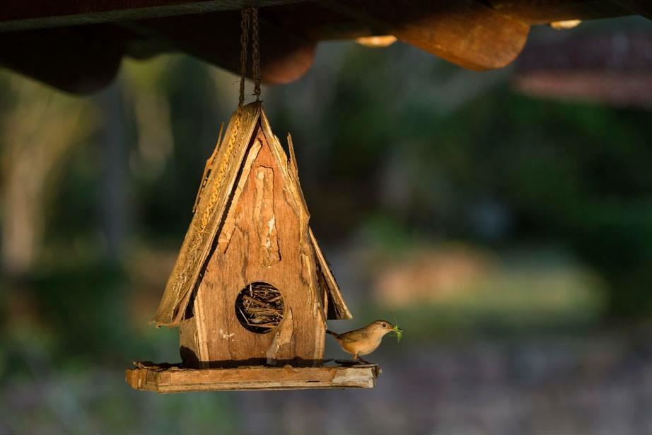 Hotel Fazenda Colibri Amargosa Kültér fotó